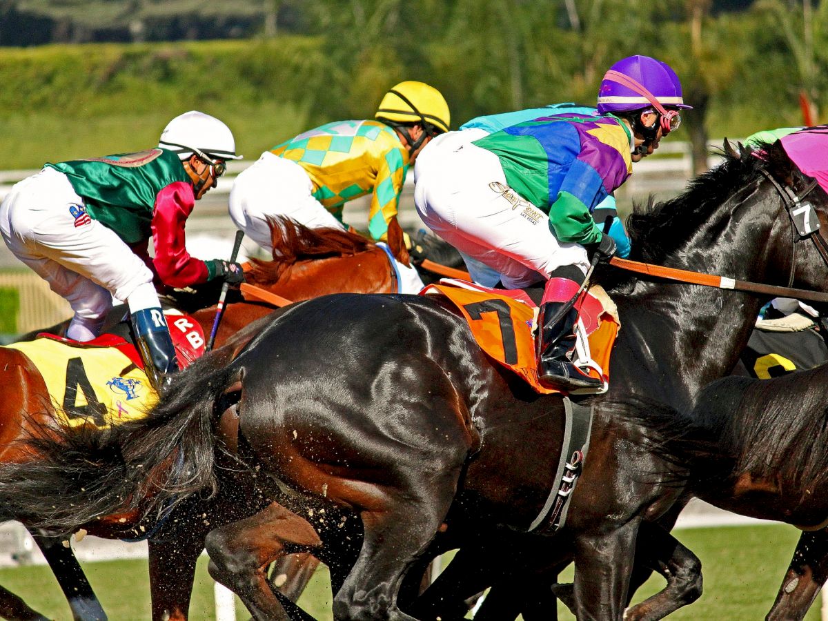 Jockeys riding horses during a race, with colorful uniforms and numbers, taken in action on a racetrack, trees in the background.